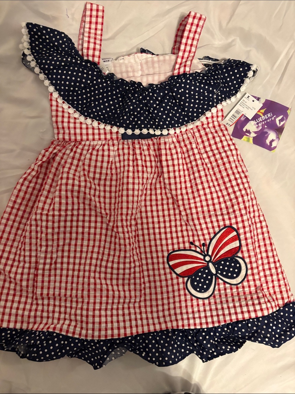 Blueberi Boulevard Red and Navy Gingham Dress with Butterfly Applique